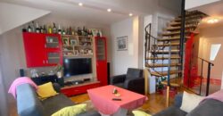 Stambeno – poslovni objekat 500 m2 – Petrićevac