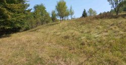Kuća 200 m2 i placa 2800 m2 – Zeleni vir