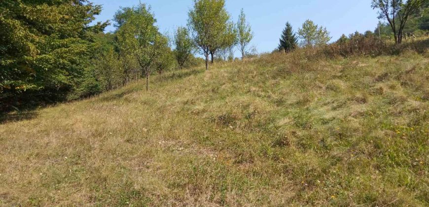 Kuća 200 m2 i placa 2800 m2 – Zeleni vir