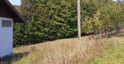 Kuća 200 m2 i placa 2800 m2 – Zeleni vir