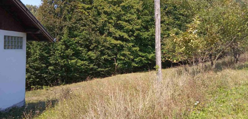 Kuća 200 m2 i placa 2800 m2 – Zeleni vir