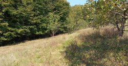 Kuća 200 m2 i placa 2800 m2 – Zeleni vir