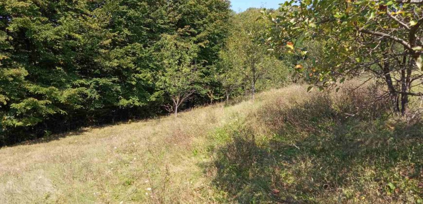 Kuća 200 m2 i placa 2800 m2 – Zeleni vir