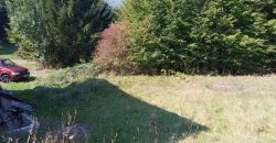 Kuća 200 m2 i placa 2800 m2 – Zeleni vir