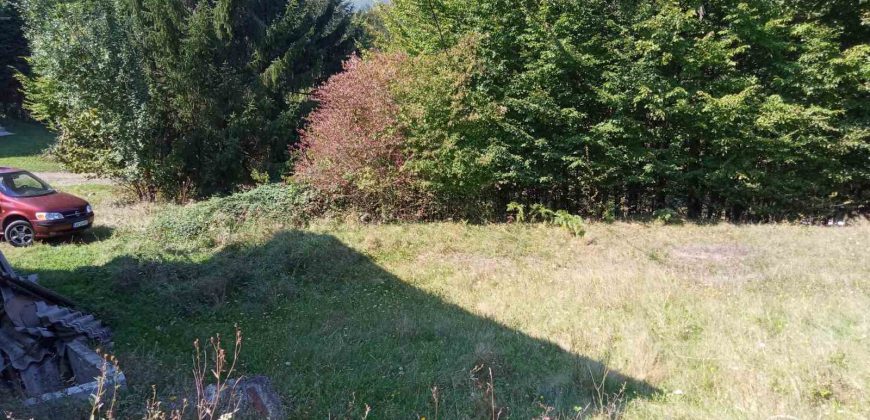 Kuća 200 m2 i placa 2800 m2 – Zeleni vir