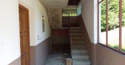 Kuća 200 m2 i placa 2800 m2 – Zeleni vir