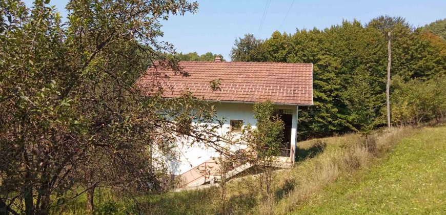 Kuća 200 m2 i placa 2800 m2 – Zeleni vir
