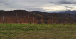Kuća 100 m2 i placa 4205 m2 – Gornja Česma