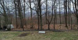 Kuća 100 m2 i placa 4205 m2 – Gornja Česma