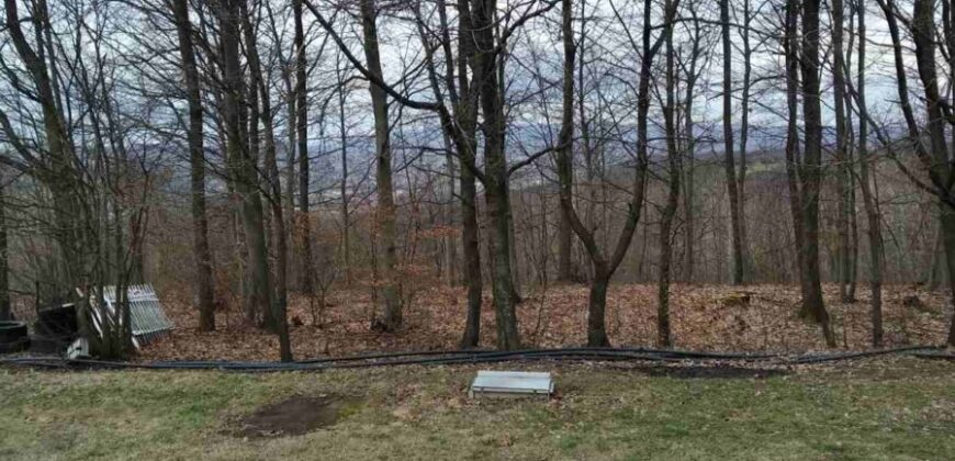 Kuća 100 m2 i placa 4205 m2 – Gornja Česma