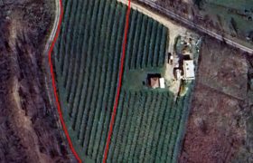 Zemljište (plantaža trešnje) 4500 m2 – Boškovići