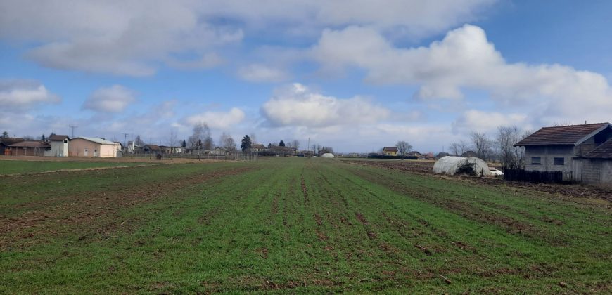 Zemljište 9331 m2 – Aleksandrovac