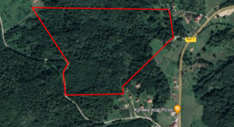 Zemljište sa šumom 114,367 m2 – Rekavice