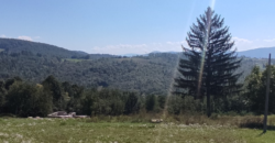 Zemljište sa šumom 77,885 m2 – Česma/Krčmarice