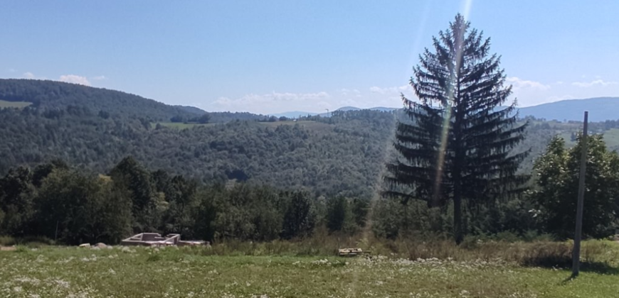 Zemljište sa šumom 77,885 m2 – Česma/Krčmarice