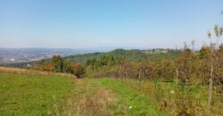 Zemljište sa šumom 77,885 m2 – Česma/Krčmarice