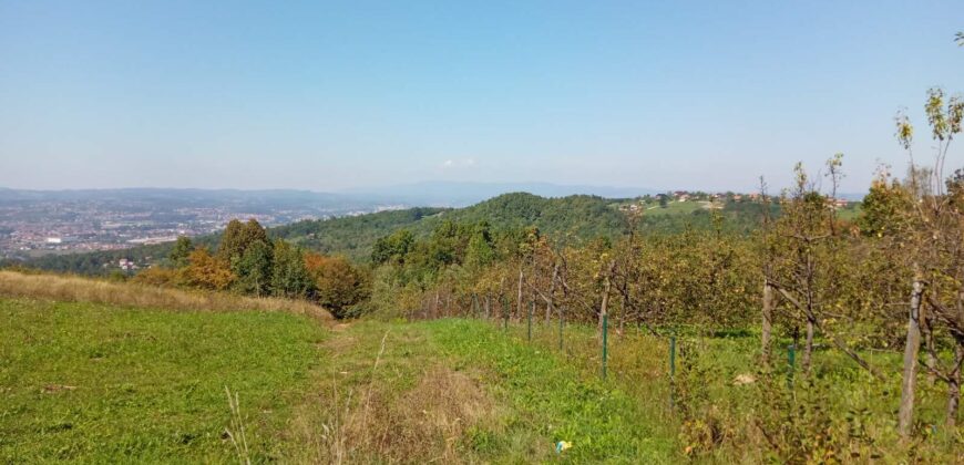 Zemljište sa šumom 77,885 m2 – Česma/Krčmarice