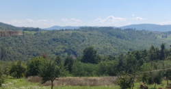 Zemljište sa šumom 77,885 m2 – Česma/Krčmarice
