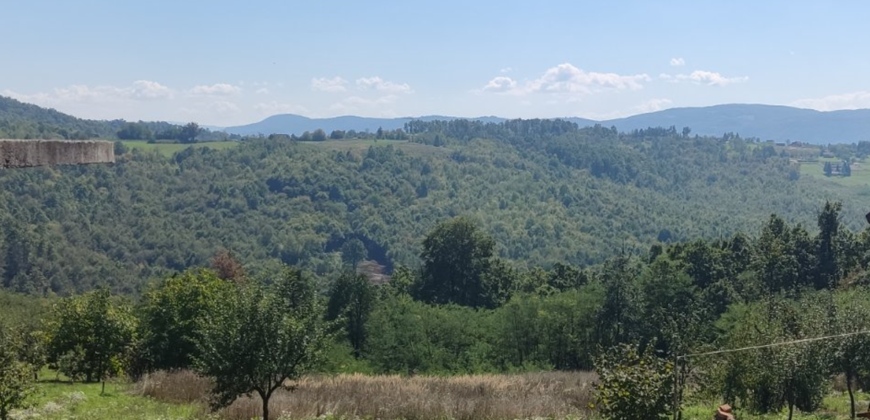 Zemljište sa šumom 77,885 m2 – Česma/Krčmarice