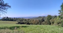 Zemljište sa šumom 77,885 m2 – Česma/Krčmarice