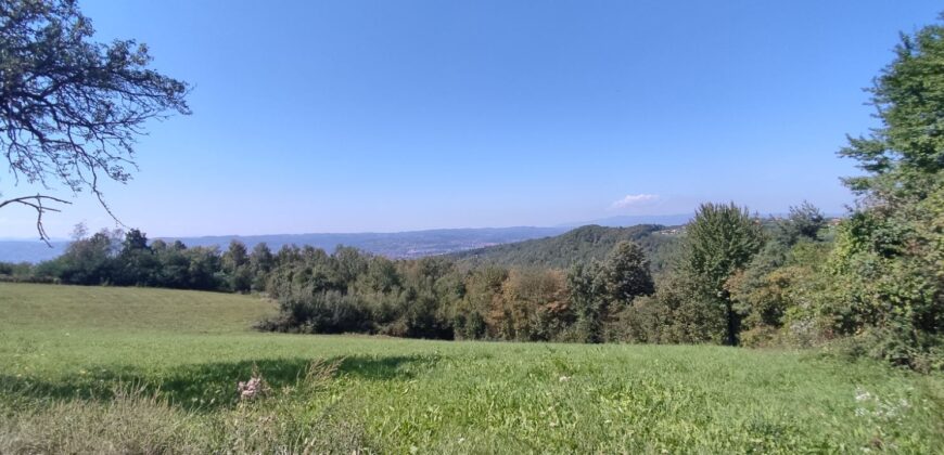 Zemljište sa šumom 77,885 m2 – Česma/Krčmarice