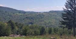 Zemljište sa šumom 77,885 m2 – Česma/Krčmarice