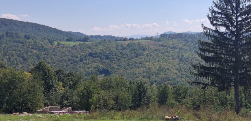Zemljište sa šumom 77,885 m2 – Česma/Krčmarice