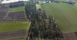 Kuća 90 m2 i zemljišta 9776 m2 – Lilić