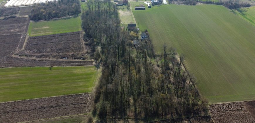 Kuća 90 m2 i zemljišta 9776 m2 – Lilić