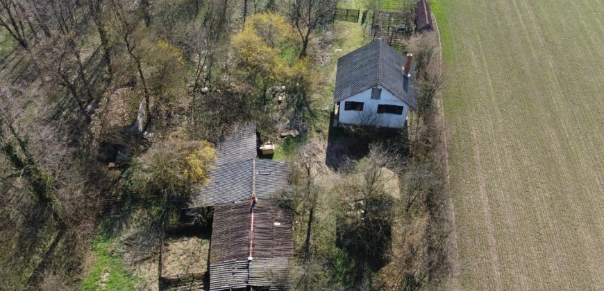 Kuća 90 m2 i zemljišta 9776 m2 – Lilić