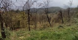 Zemljište 7423 m2 – Pavlovac