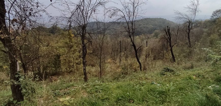 Zemljište 7423 m2 – Pavlovac