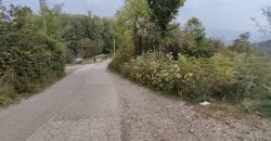 Zemljište 7423 m2 – Pavlovac