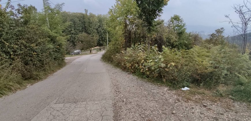 Zemljište 7423 m2 – Pavlovac