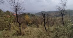 Zemljište 7423 m2 – Pavlovac