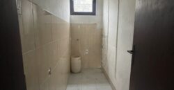 Stambeno poslovni objekat (kuća) 300 m2 – Lauš