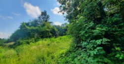 Zemljište 21,432 m2 – Dragočaj