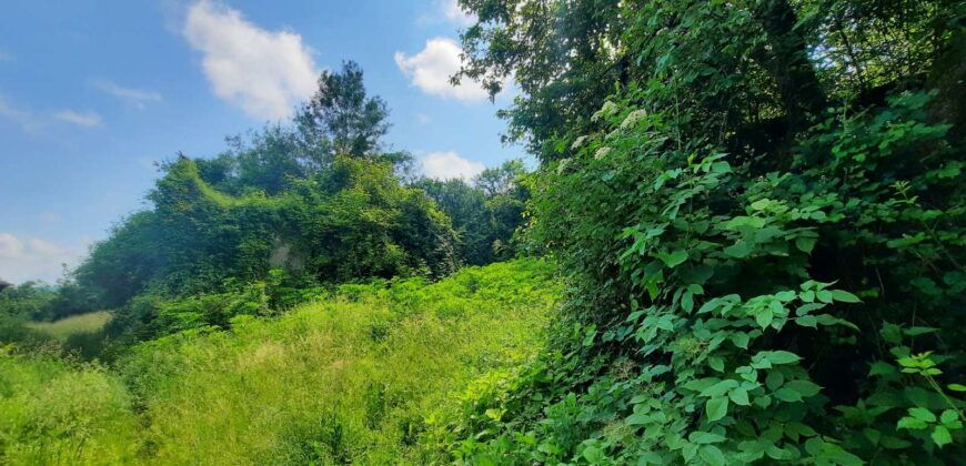 Zemljište 21,432 m2 – Dragočaj