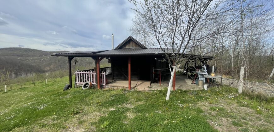 Plantaža Lješnjaka na zemljištu od 7079 m2 – Šušnjari