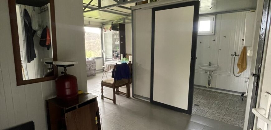 Plantaža Lješnjaka na zemljištu od 7079 m2 – Šušnjari