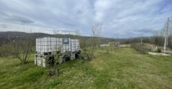 Plantaža Lješnjaka na zemljištu od 7079 m2 – Šušnjari