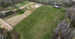 Plantaža Lješnjaka na zemljištu od 7079 m2 – Šušnjari