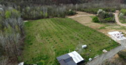 Plantaža Lješnjaka na zemljištu od 7079 m2 – Šušnjari