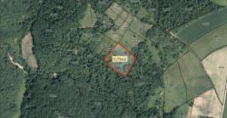 Zemljište sa šumom 5175 m2 – Šušnjari