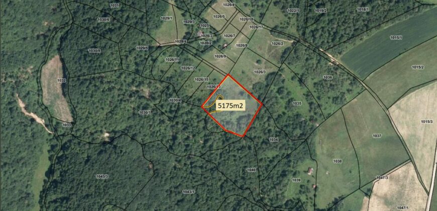 Zemljište sa šumom 5175 m2 – Šušnjari