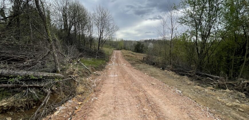 Zemljište sa šumom 5175 m2 – Šušnjari