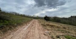 Zemljište sa šumom 5175 m2 – Šušnjari