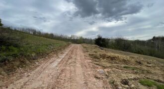 Zemljište sa šumom 5175 m2 – Šušnjari