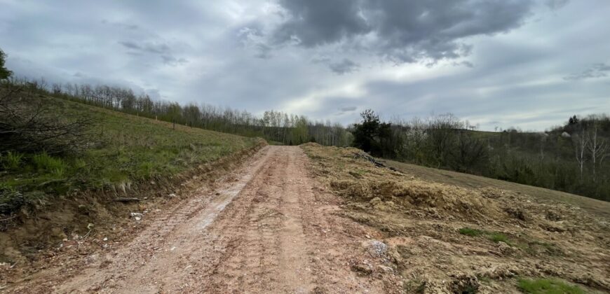 Zemljište sa šumom 5175 m2 – Šušnjari