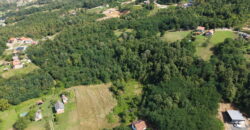 Zemljište sa šumom 8058 m2 – Česma
